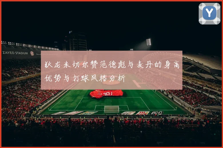 狄龙米切尔赞范德彪与麦丹的身高优势与打球风格分析